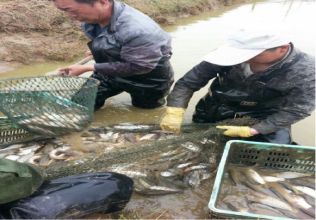 土默特左旗水产管理站土左旗水产苗种培育基地改扩建工程中标 （成交）公示