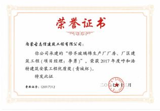 2017年（青城杯）项目经理荣誉证书